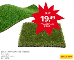 Praxis 5mm. kunstgras prems aanbieding