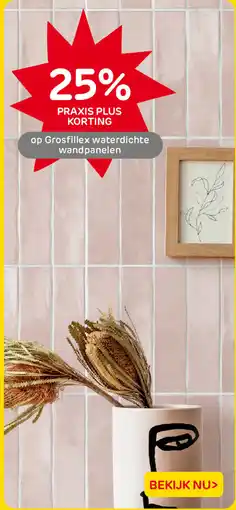 Praxis op Grosfillex waterdichte wandpanelen aanbieding
