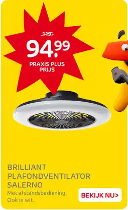 Praxis Brilliant Plafondventilator Salerno aanbieding