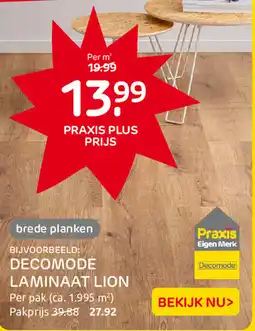 Praxis Decomode Laminaat Lion aanbieding