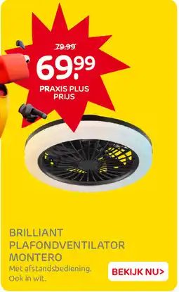 Praxis Brilliant plafondventilator montero aanbieding