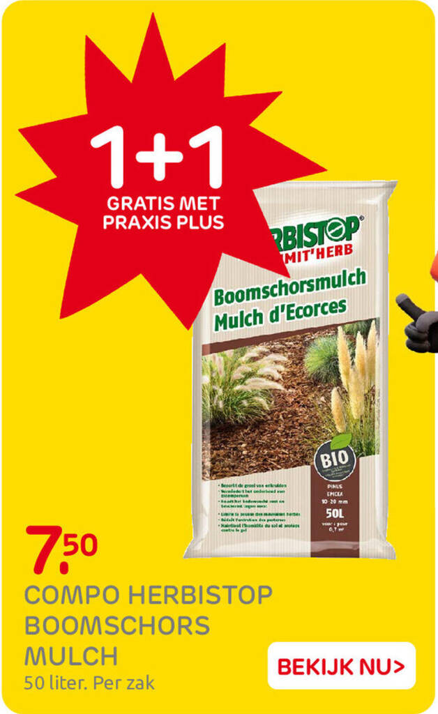 edeltanne künstlich Pazifische Edeltanne, Nobilis-Tanne (Abies procera - nobilis) online kaufen  bei HS Baum main image 1