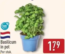 ALDI Basilicum in pot aanbieding