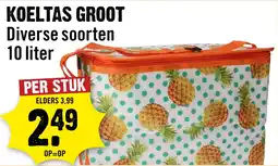 Dirck 3 Koeltas Groot aanbieding