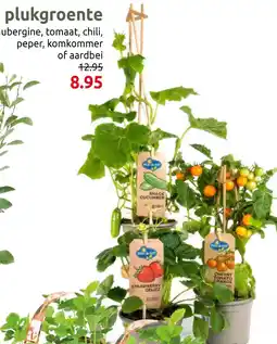 Deka Tuin Plukgroente aanbieding