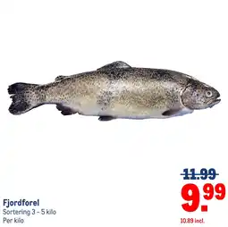 Makro Fjordforel aanbieding