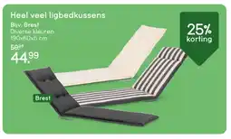 Leen Bakker Bekijk heel veel ligbedkussens aanbieding