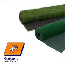 Action Grastapijt aanbieding