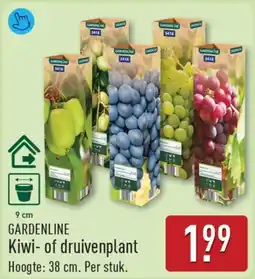 ALDI Gardenline Kiwi of druivenplant aanbieding