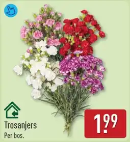 ALDI Trosanjers aanbieding