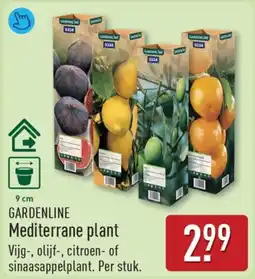 ALDI Gardenline Mediterrane plant aanbieding