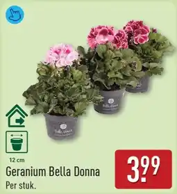 ALDI Geranium Bella Donna aanbieding