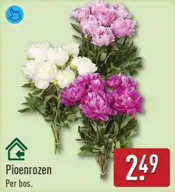 ALDI Pioenrozen aanbieding