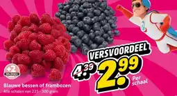 Hoogvliet Blauwe bessen of frambozen aanbieding