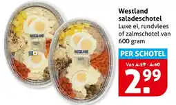 Hoogvliet Westland saladeschotel aanbieding
