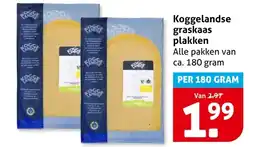 Hoogvliet Koggelandse graskaas plakken aanbieding