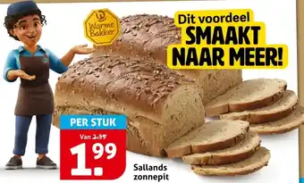 Hoogvliet Sallands zonnepit aanbieding