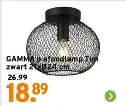 GAMMA GAMMA plafondlamp Tim zwart 21xØ24 cm aanbieding