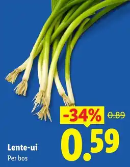 Lidl Lente-ui aanbieding