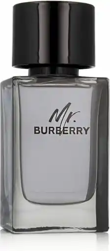 Bol.com Burberry Mr. Burberry Eau de Toilette 100ml aanbieding