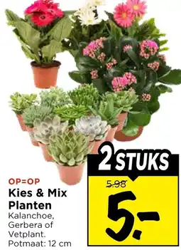 Vomar Voordeelmarkt Kies & Mix Planten aanbieding