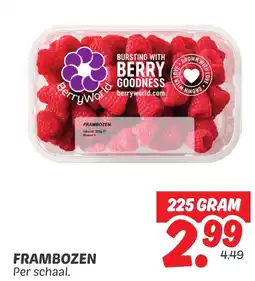 Dekamarkt Frambozen aanbieding