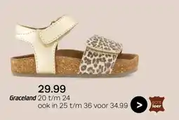 vanHaren Graceland aanbieding