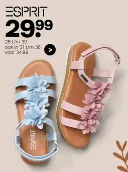 vanHaren Esprit aanbieding