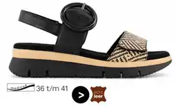 vanHaren Medicus aanbieding