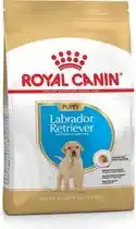 Bol.com Royal Canin Labrador Retriever Junior - 12 kg - Hondenbrokken aanbieding
