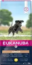 Bol.com Eukanuba Developing Junior Large Breed Kip - Hondenvoer - 15 kg aanbieding