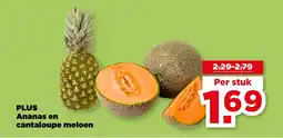 PLUS PLUS Ananas en cantaloupe meloen aanbieding
