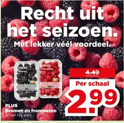 PLUS PLUS Bramen en frambozen aanbieding