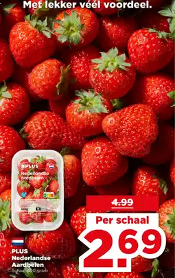 PLUS PLUS Nederlandse Aardbeien aanbieding