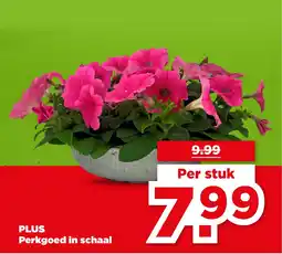 PLUS PLUS Perkgoed in schaal aanbieding