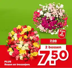 PLUS PLUS Rozen en trosanjers aanbieding