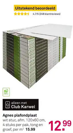 Karwei Agnes plafondplaat aanbieding