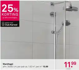 Karwei Wandtegel aanbieding