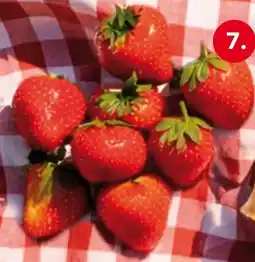 Dirk Aardbeien aanbieding