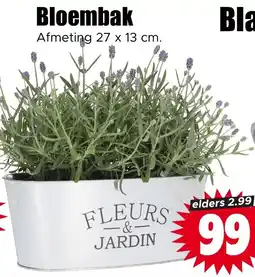 Dirk Bloembak aanbieding