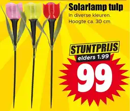 Dirk Solarlamp tulp aanbieding