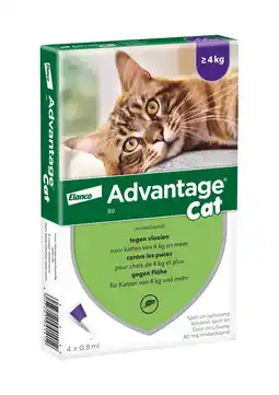 Zooplus Advantage 80 voor Katten vanaf 4 kg - Dubbelpak: 2 x 4 pipetten - BE aanbieding