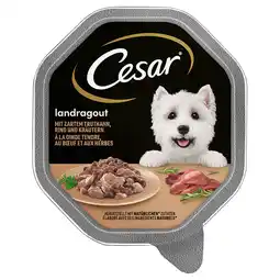 Zooplus 14x150g Landragout Kalkoen/Rund/Kruiden Cesar Hondenvoer Multipack aanbieding