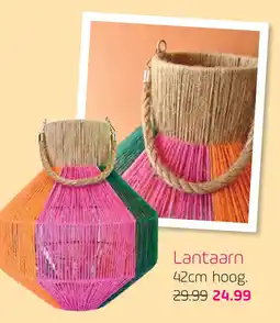 Coppelmans Lantaarn aanbieding