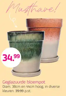 Coppelmans Geglazuurde bloempot aanbieding