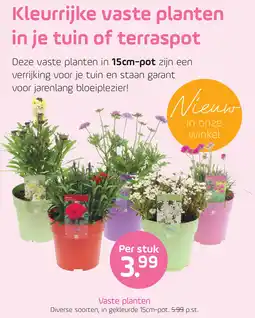 Coppelmans Vaste planten aanbieding