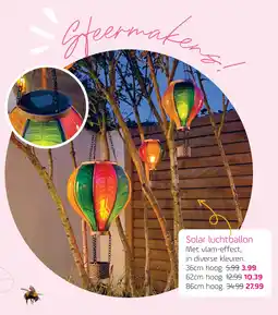 Coppelmans Solar luchtballon aanbieding