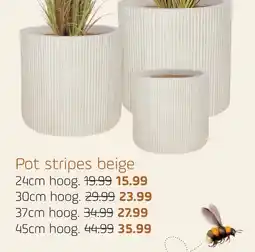 Coppelmans Pot stripes beige aanbieding