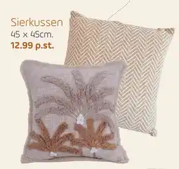 Coppelmans Sierkussen aanbieding