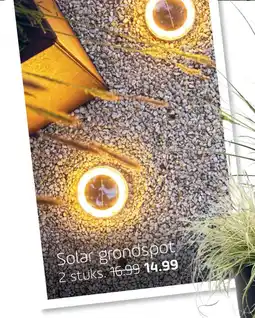 Coppelmans Solar grondspot aanbieding